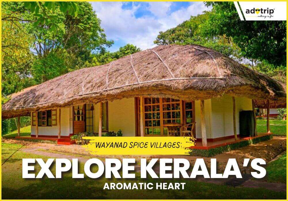 Wayanad Spice Villages: Explore Kerala’s Aromatic Heart
